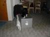dscn0867.jpg