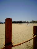 147-beach-cat.jpg