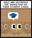 TEXT: Owls are notorious for defaulting on their student loans.